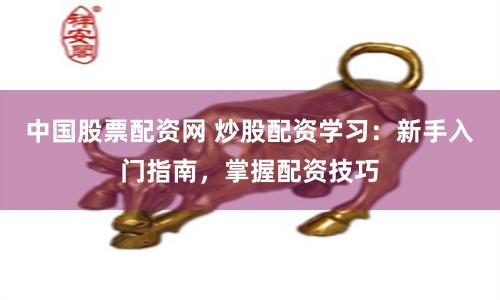 中国股票配资网 炒股配资学习:新手入门指南,掌握配资技巧