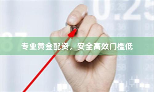 专业黄金配资,安全高效门槛低