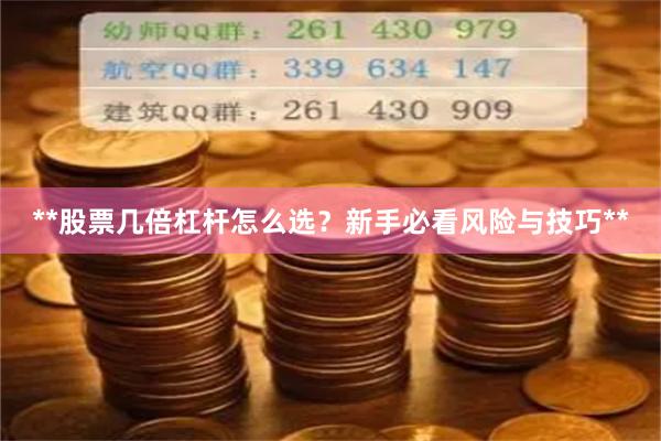 **股票几倍杠杆怎么选？新手必看风险与技巧**